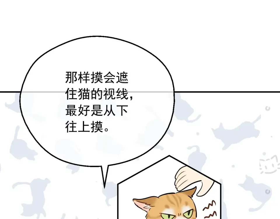 外传第8话 猫咪博士 第116页