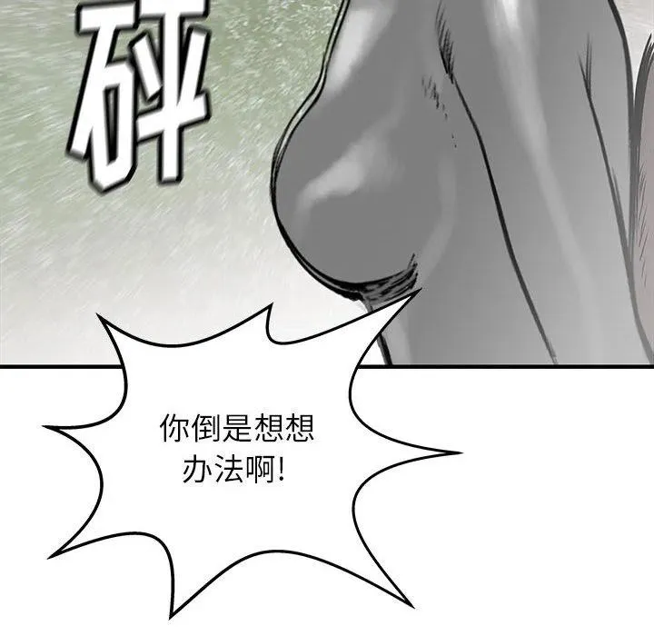 54 第51页