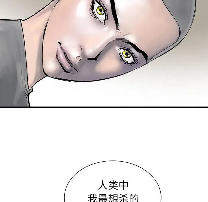 51 第114页
