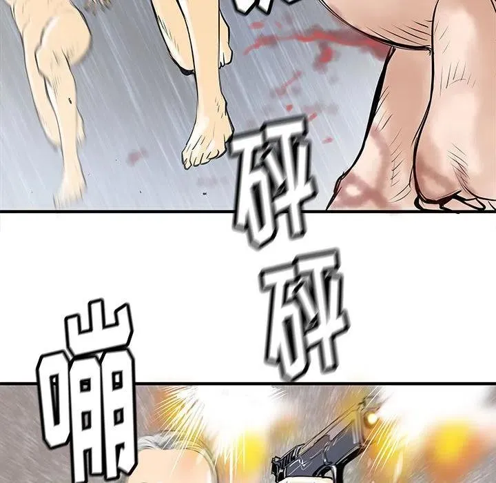 50 第44页