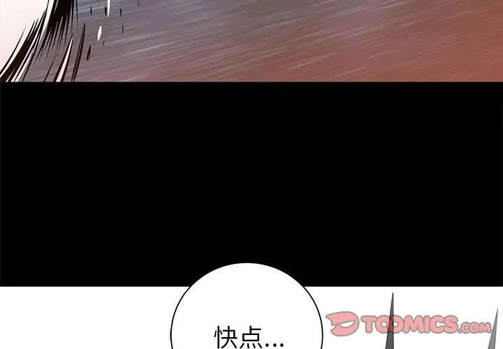 48 第3页