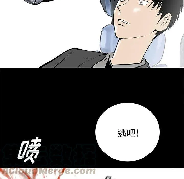 48 第5页