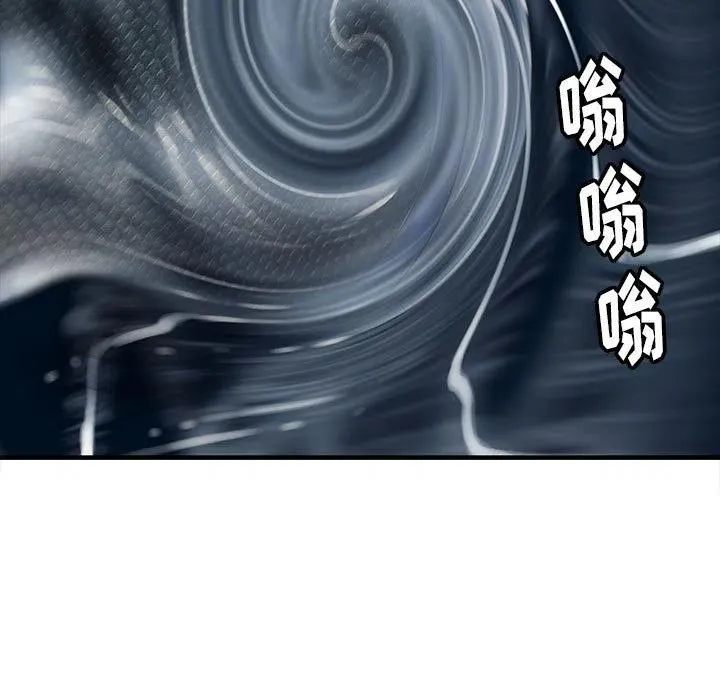 48 第110页