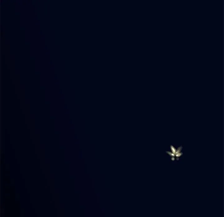 41 第6页