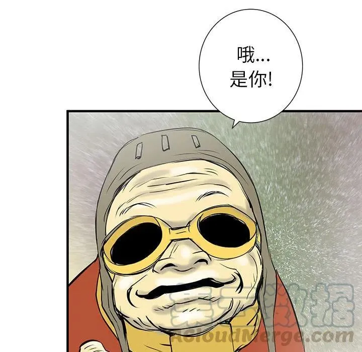 41 第41页