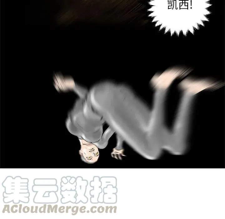 41 第53页