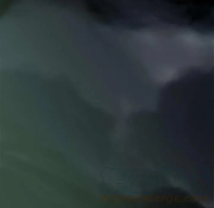 39 第97页