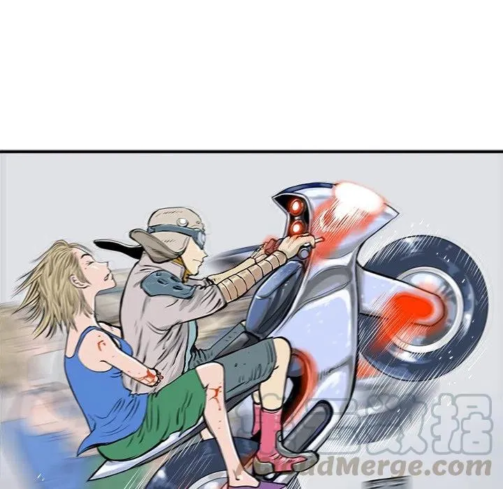 5 第113页