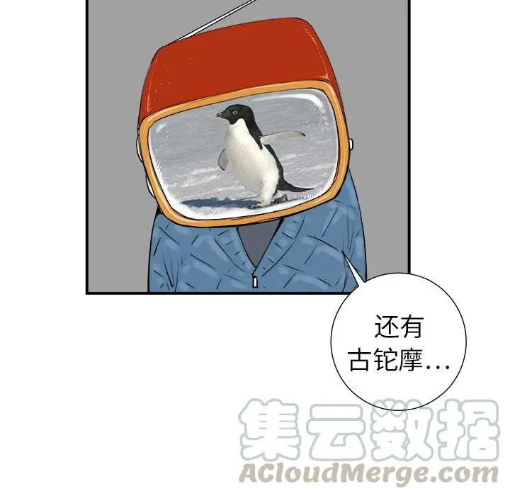 8 第13页