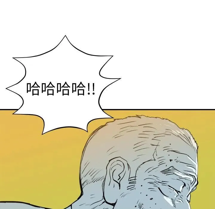 13 第43页