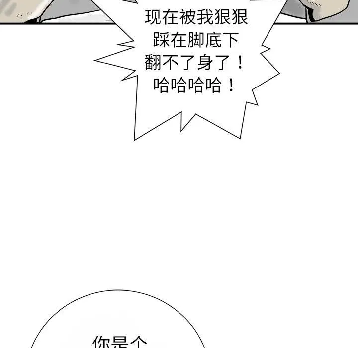 13 第46页
