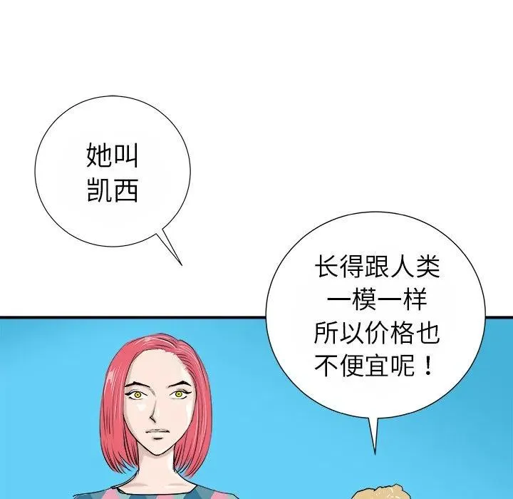 13 第54页