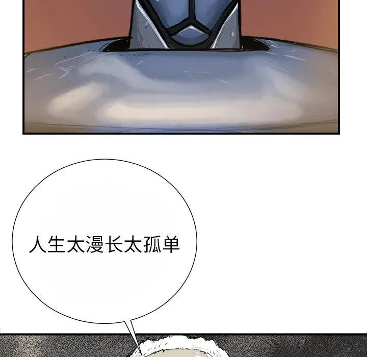 15 第55页