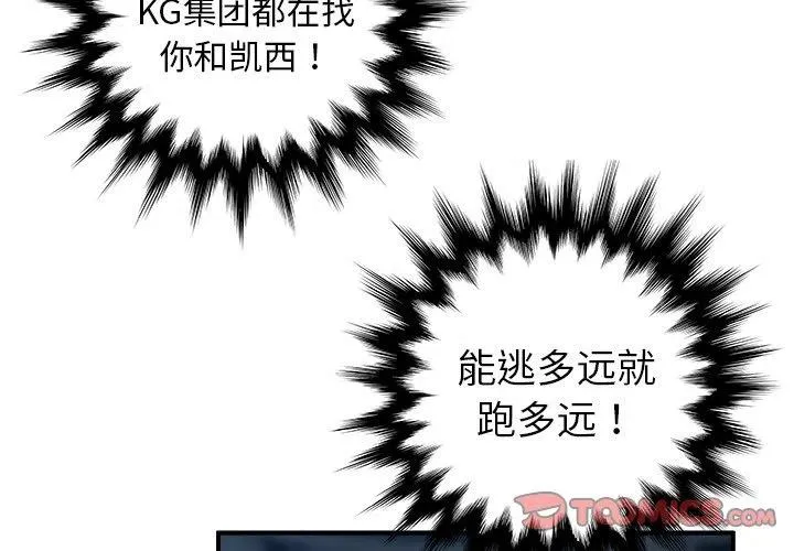 17 第3页