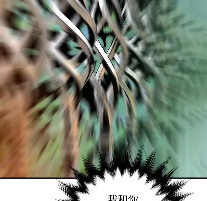 17 第8页