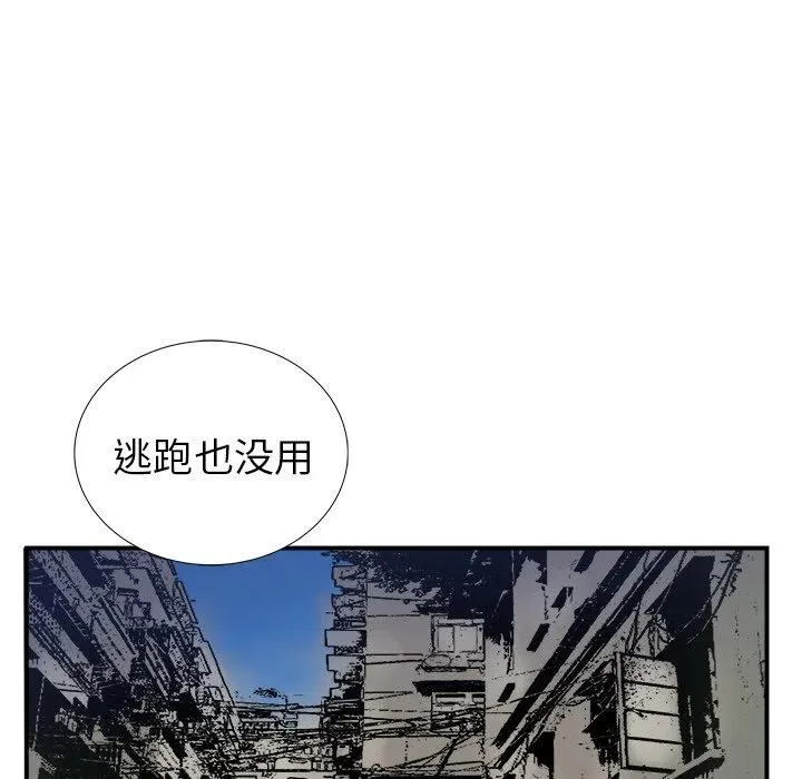 17 第39页