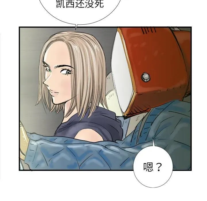 17 第51页