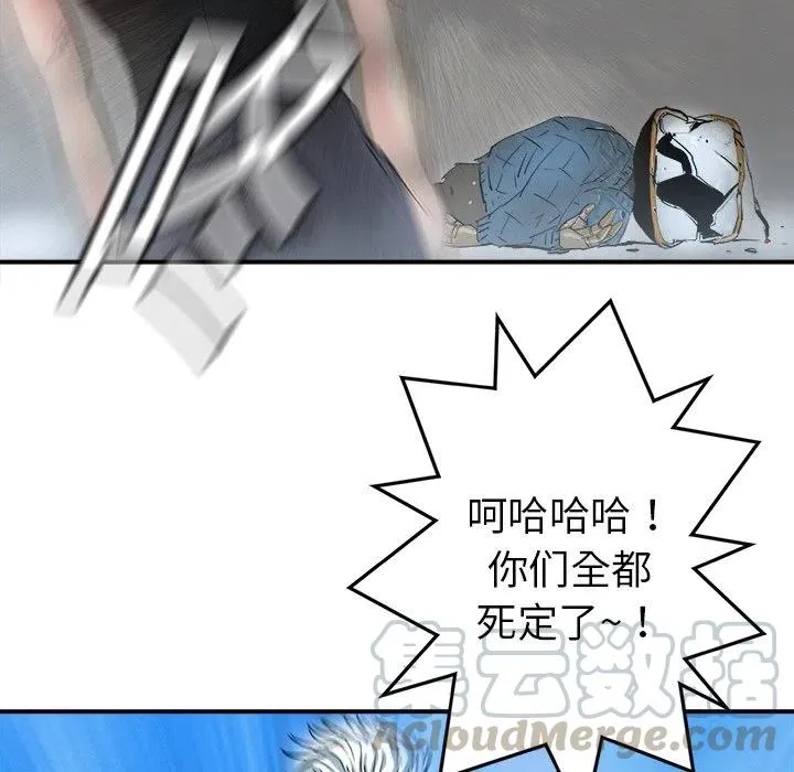 17 第81页