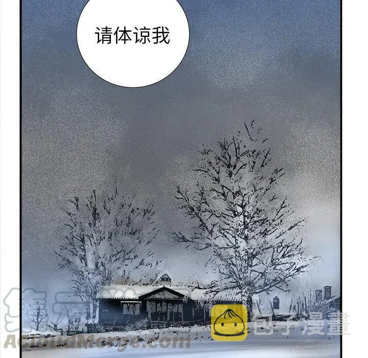 17 第85页