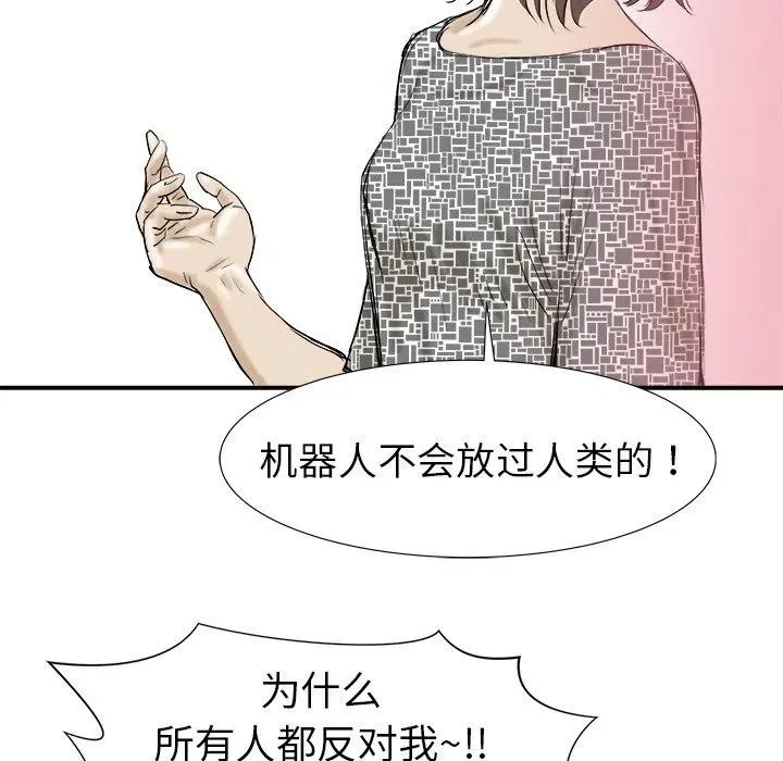 17 第96页