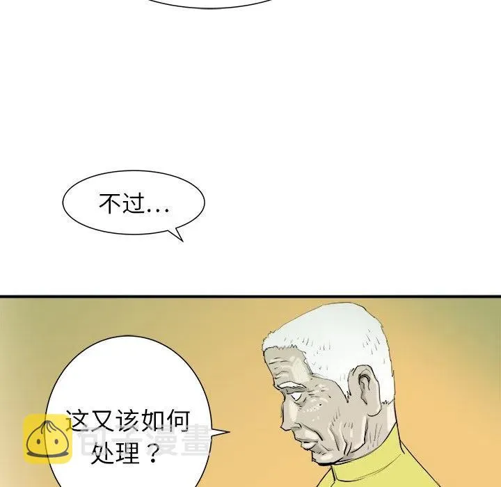 20 第63页