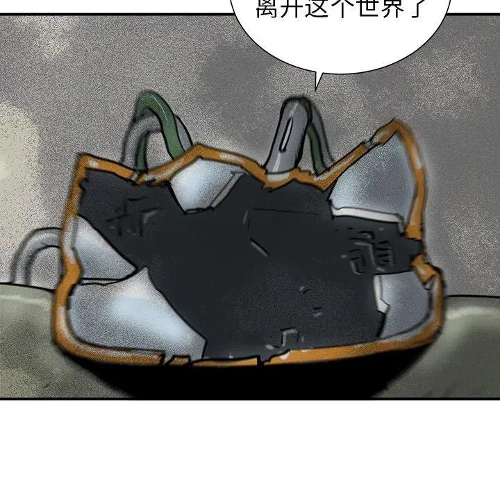20 第110页