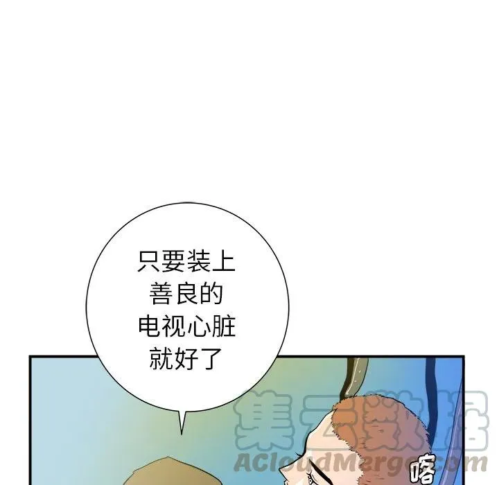 21 第81页