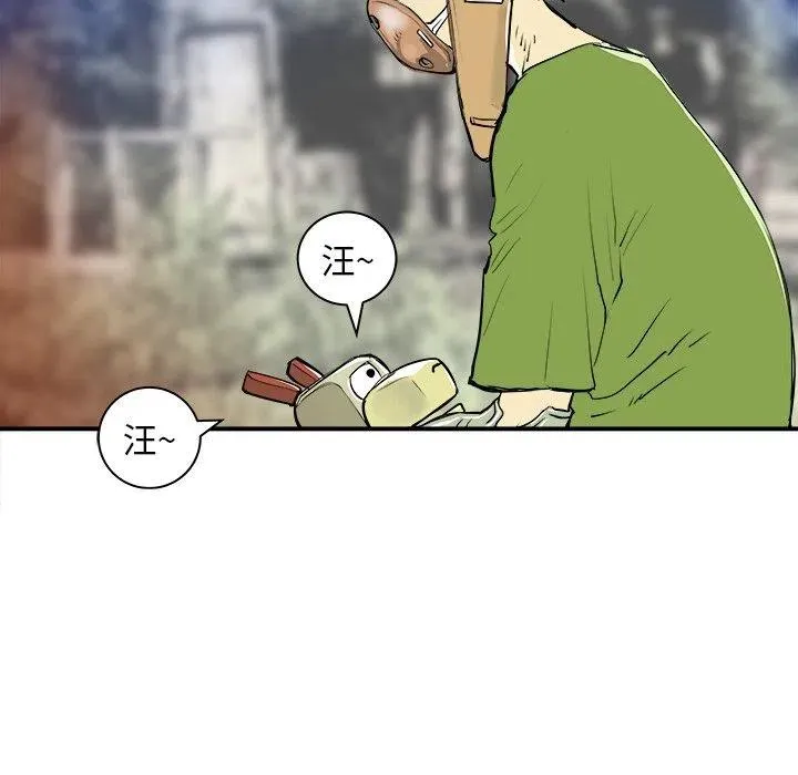 21 第99页