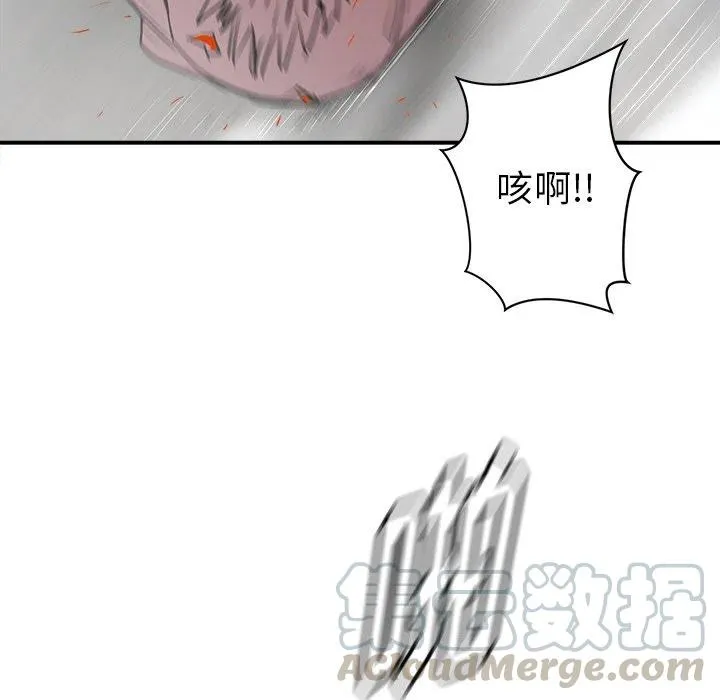 22 第81页