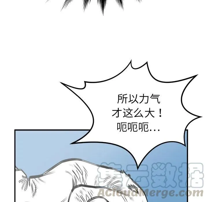 22 第113页