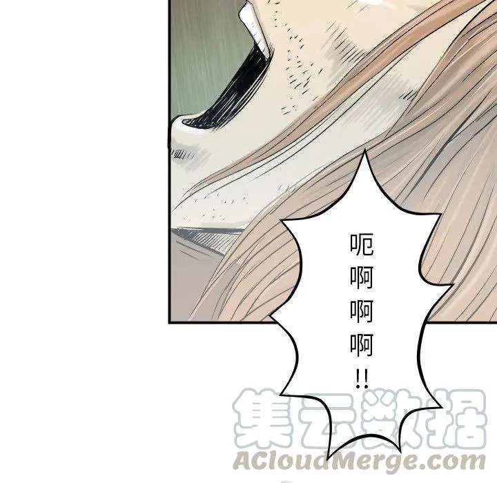 22 第117页