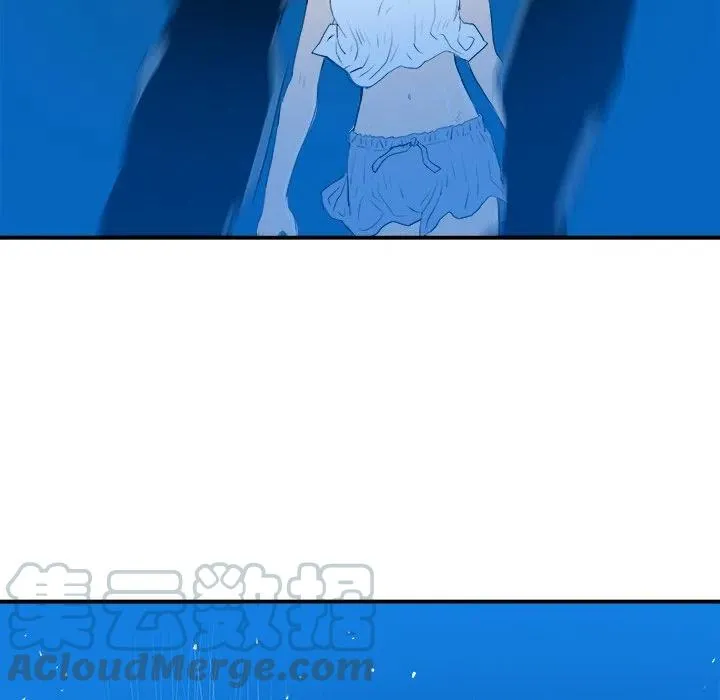 24 第81页