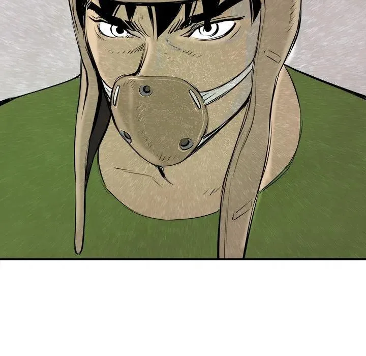 25 第43页