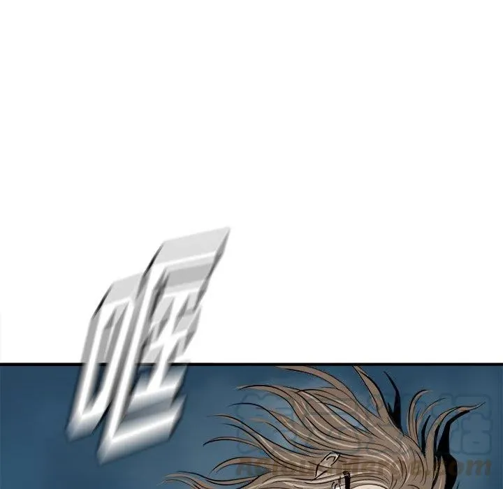 25 第113页