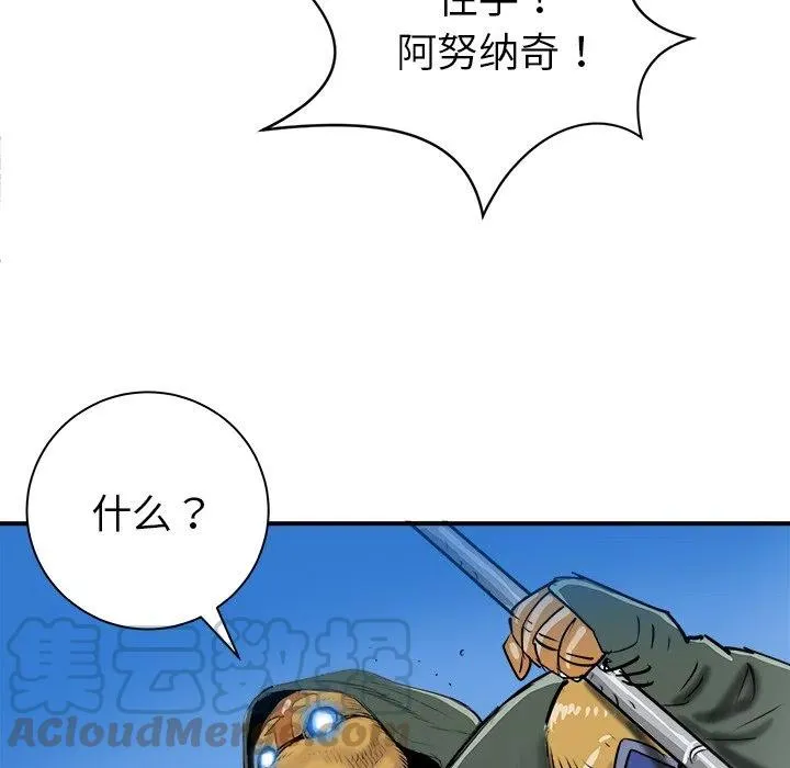 26 第13页