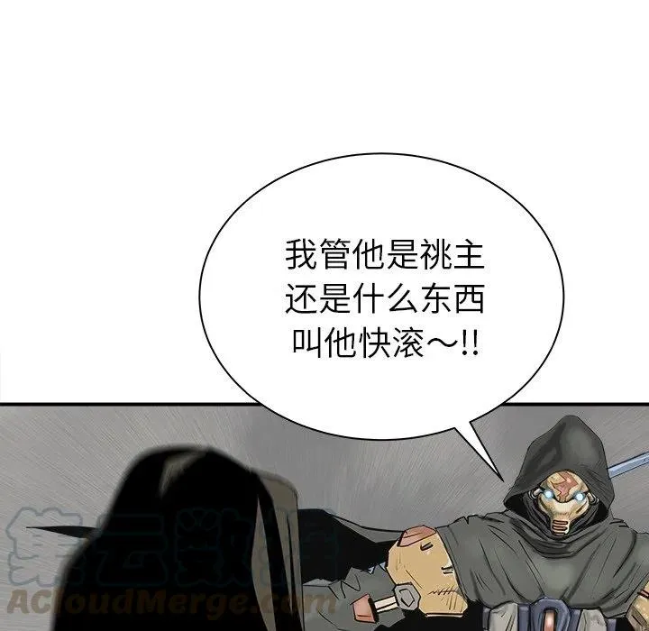 26 第17页