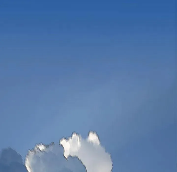 26 第51页