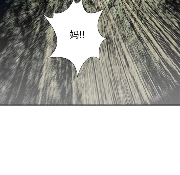 26 第110页