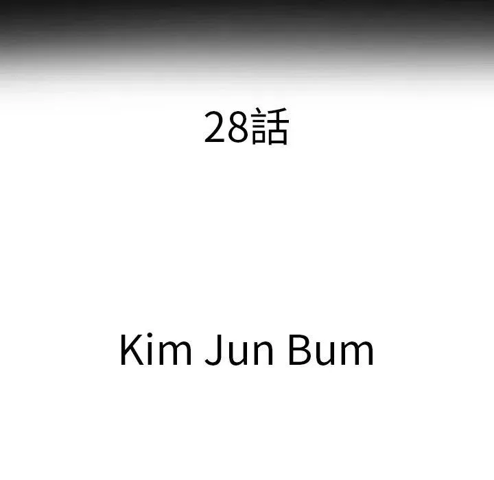 28 第27页