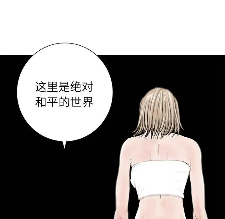 28 第106页