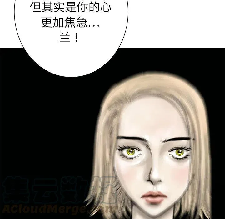 28 第117页