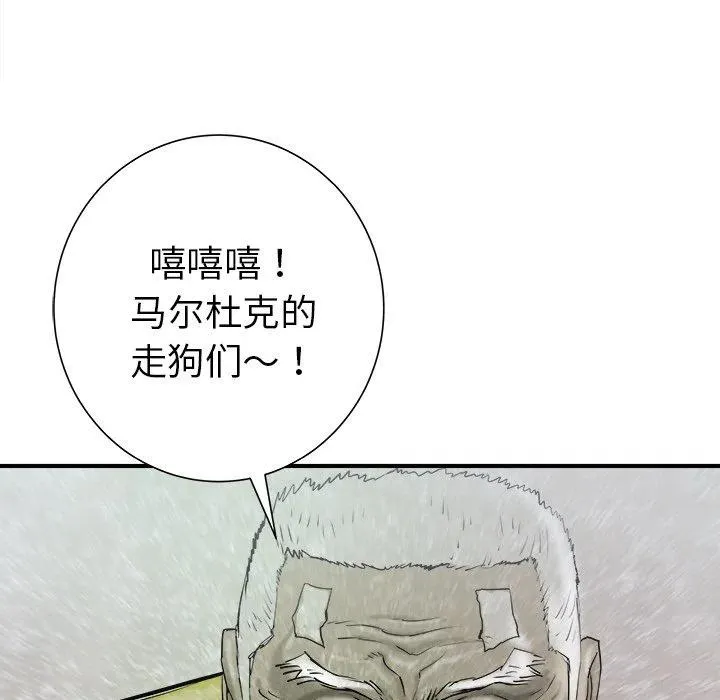 28 第139页