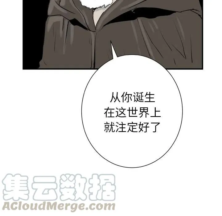 29 第5页