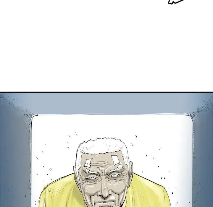 29 第43页