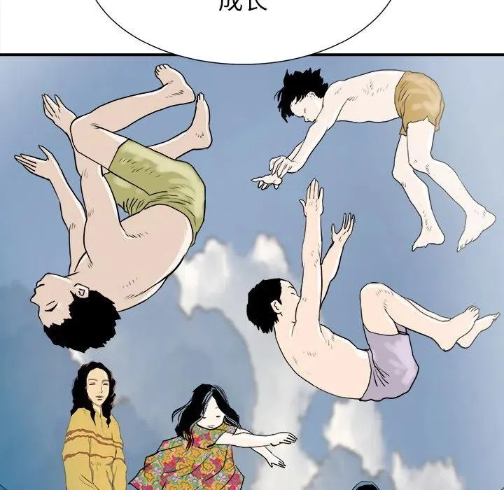 29 第56页