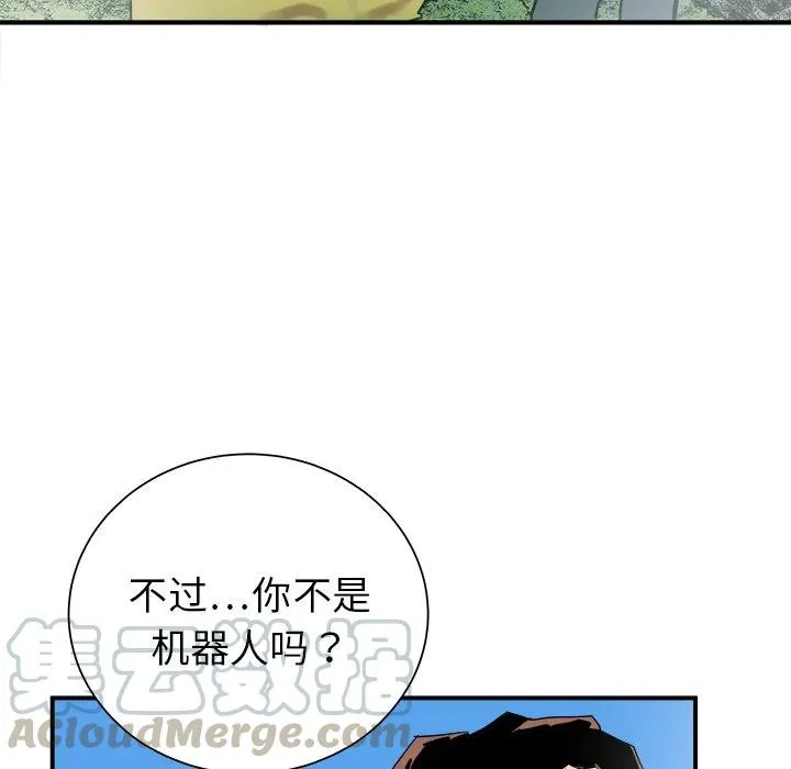 29 第61页