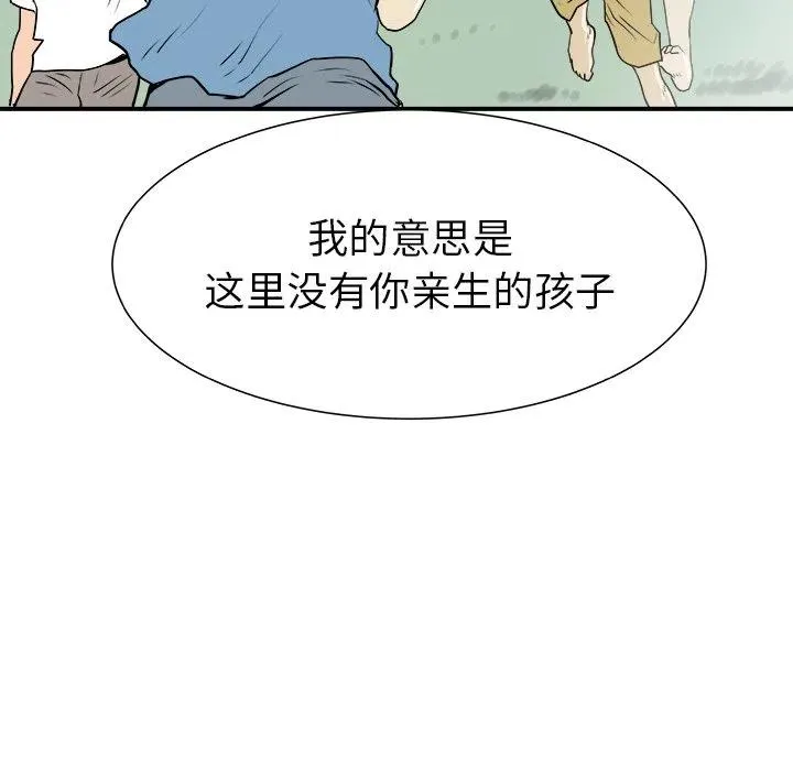 29 第66页