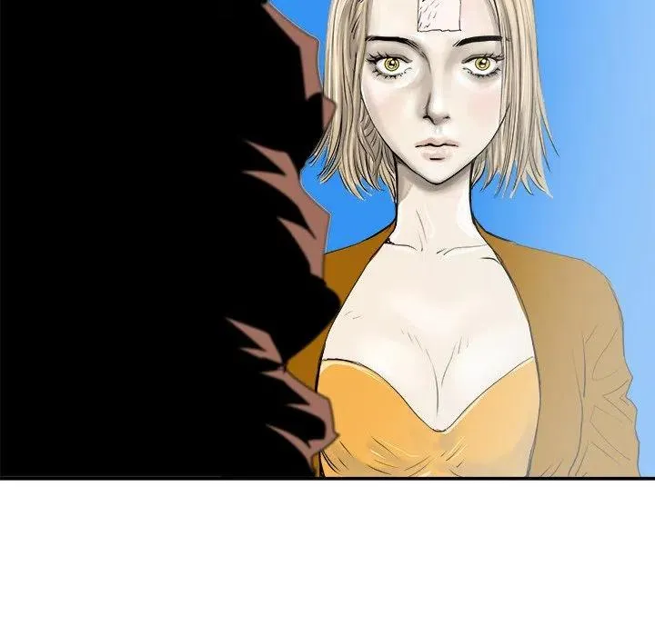 29 第75页