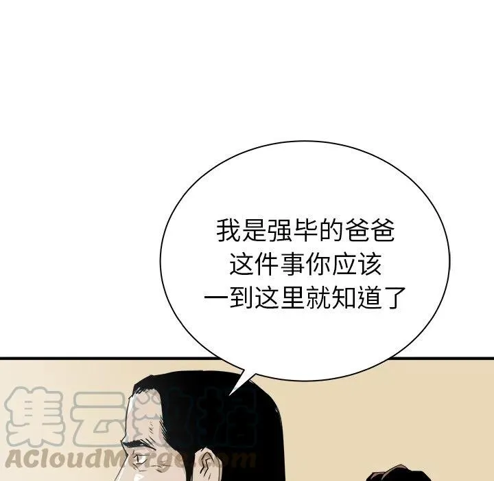30 第113页