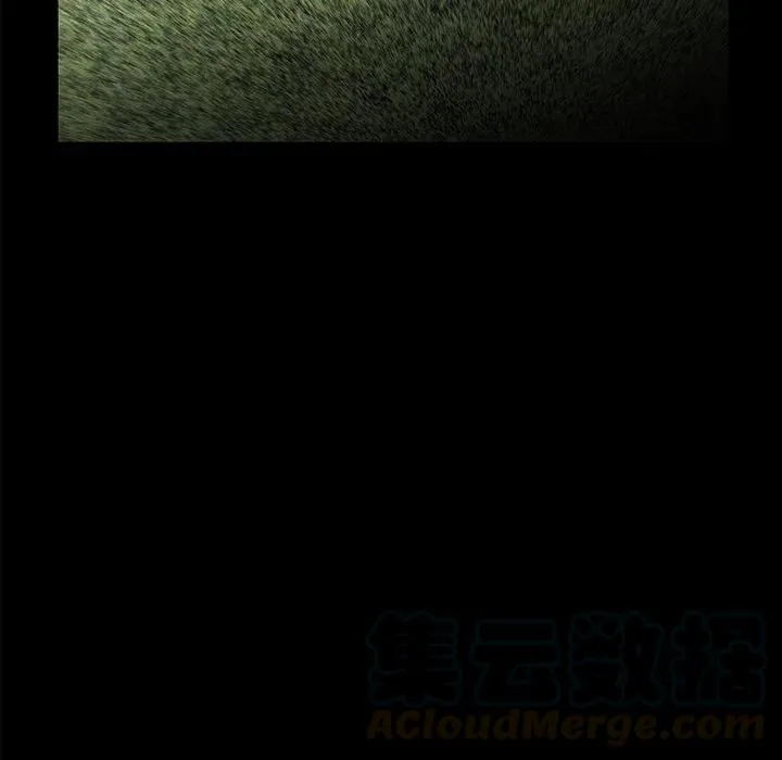 33 第5页